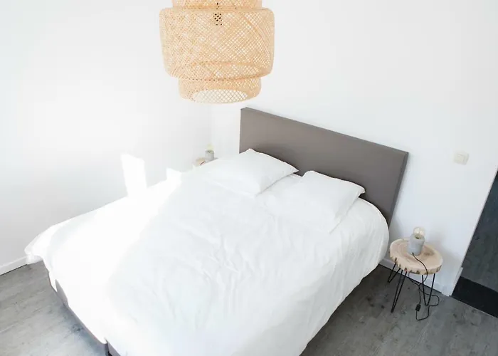 Wellington Semesterbostad *